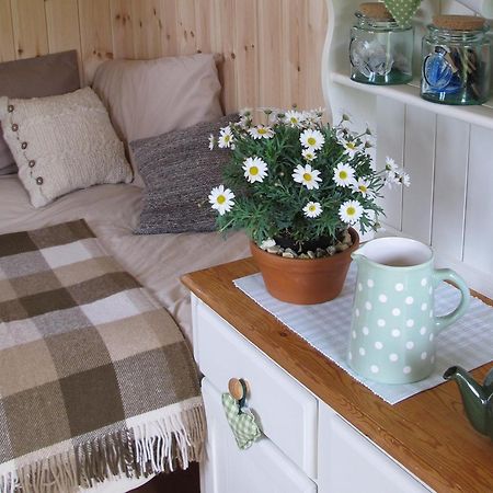 Marshwood Farm B&B And Shepherds Hut Dinton  Kültér fotó