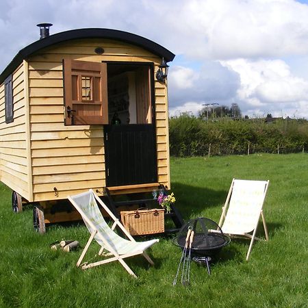 Marshwood Farm B&B And Shepherds Hut Dinton  Kültér fotó